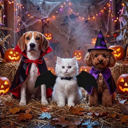 3 Sets Halloween Cat Dog Costume Vampire Cloak Witch Outfit Bat Wing, Small - Image 6