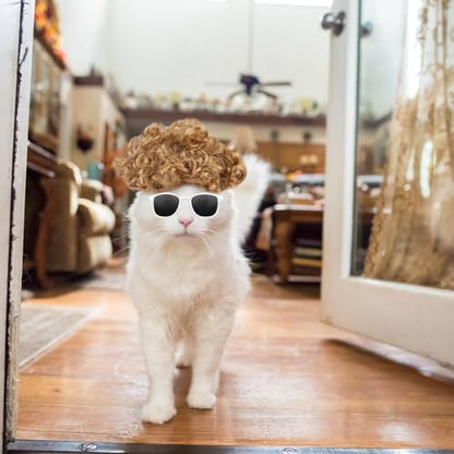 HOWWFALY Cat Apparel Cat Gold Afro Wig with White Small Glasses Styling Cute Funny Pet Hair Accessories Decoration for Halloween, Christmas, Parties - Image 6