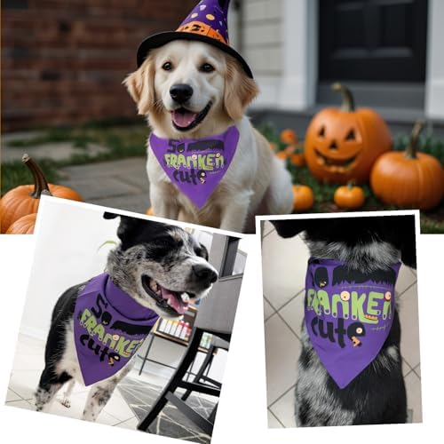 Halloween Dog Bandanas So Franken Cute Costumes for Large Pet - Image 5