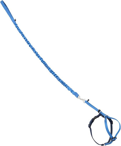 PetSafe Come With Me Kitty Cat Harness & Bungee Leash - Comfortable Cat Harness with Lightweight Bungee Leash for Outdoor Fun - More Secure Walks - Small - Royal Blue