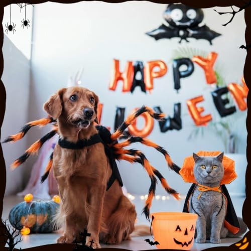 3 Pcs Halloween Costume for Dog Cat, Spider Bat Wings Cape, Orange, S - Image 6