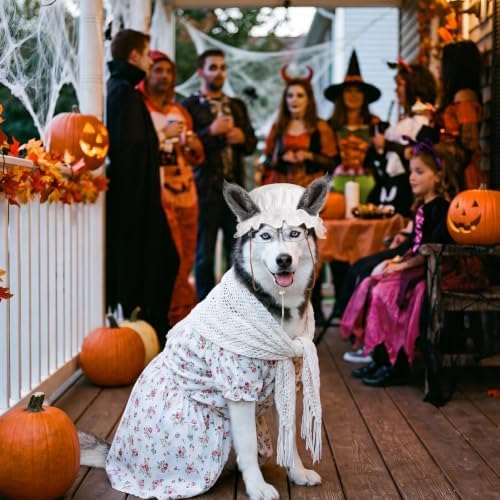 Haysandy 3 Pcs Halloween Big Bad Wolf Dog Costume Granny Costume, Large - Image 6