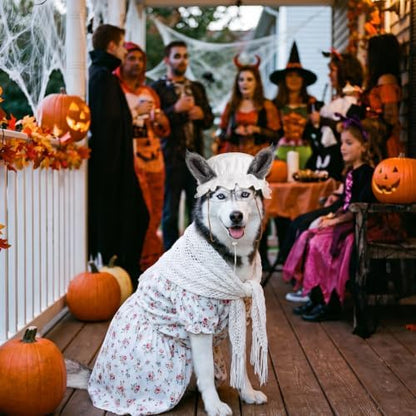 Haysandy 3 Pcs Halloween Big Bad Wolf Dog Costume Granny Costume, Large - Image 6
