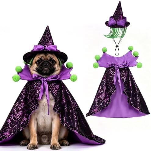 EXPAWLORER Halloween Witch Costume for Cat & Small Medium Dog by EXPAWLORER