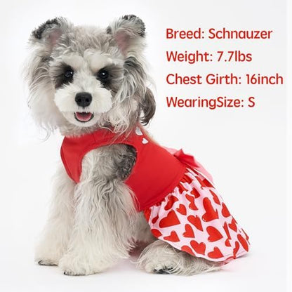 XPUDAC Valentine Dog Dress Heart Print Dog Dress for Small Dogs Girls Holiday Party Tulle Puppy Outfit Cat Apparel-S - Image 5