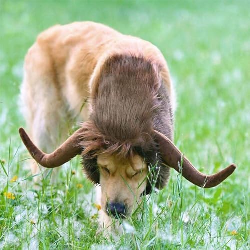 Halloween Dog Horn Wig Soft Bull Dog Costumes Winter Warm Hat Dog Wig Clothes Pet Funny Ox Hat Dog Cat Horn Headgear Accessories Cosplay Bull Mane for Medium to Large Dogs Outfit (Large) by CAISANG