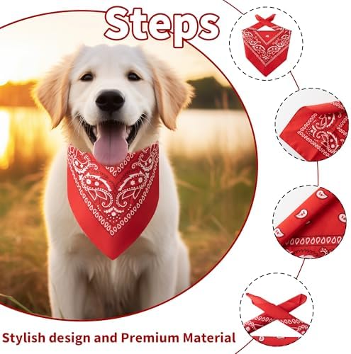 Dog Halloween Costumes - Cowboy Hat & Bandana for Small to Large Dogs - Image 2