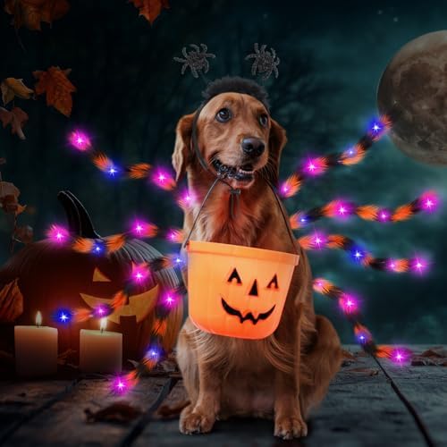 JaGely 2 Pcs Halloween Spider Dog Costume with LED Headband Body, Orange - Image 6