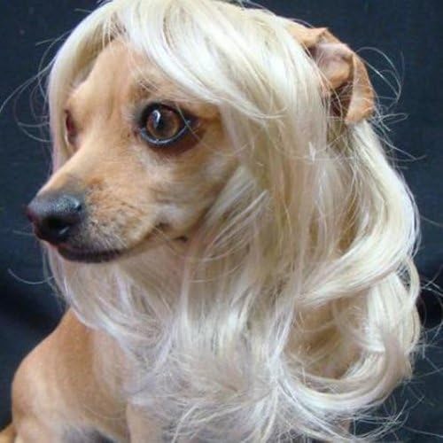 Tangpan Dog Pet High Temperture Wire Wig (Cream Long) by Tangpan