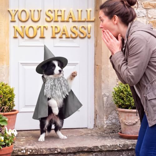 3 Pcs Halloween Pet Wizard Costume for Small Dogs Cats Kitten Puppy Cosplay Outfit Gray Polyester Halloween Party(S) - Image 5