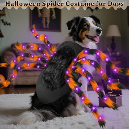 Halloween Light up Spider Dog Costumes for Small Medium Large Dogs - Image 4