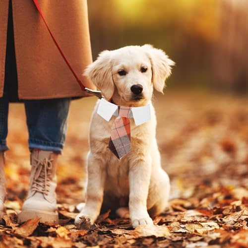ADOGGYGO Fall Dog Necktie, Orange Plaid Thanksgiving Dog Tie Collar, Small - Image 2