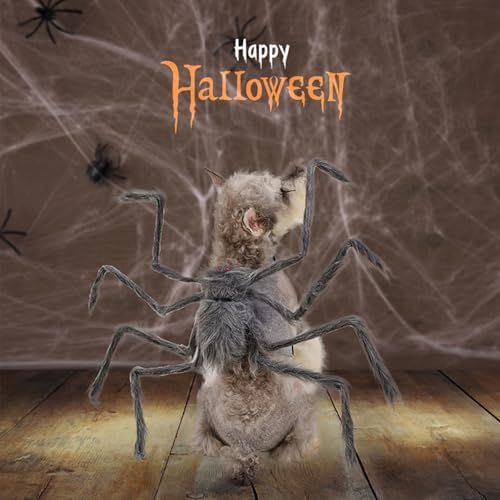 BAMY Halloween Dog Spider Costume Funny Pet Dress Up Clothes Creativity Gray Araneid Cosplay Apparel (M (Chest Circumference 15.7-25.2")) - Image 2