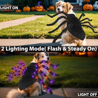 Halloween Light up Spider Dog Costumes for Small Medium Large Dogs - Image 3