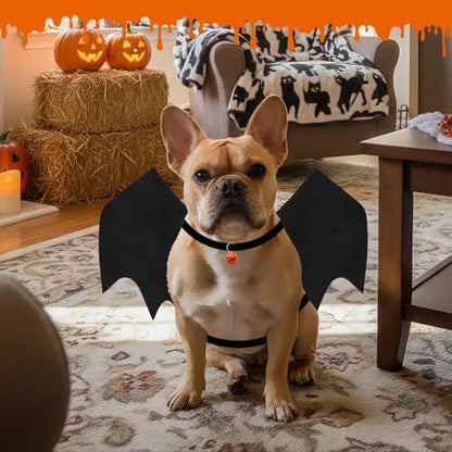Olanrun Small Dog Halloween Costumes, Adjustable Dog Bat Wings Costumes for Small Dogs with Pumpkin Bell Skeleton Print On The Back, Pet Costume Halloween Cosplay Party Dress Up, S Black - Image 7