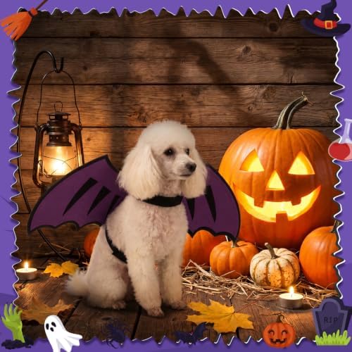 Dog Dragon Wings, Halloween Dragon Costume for Dog Cat, Purple, M - Image 4
