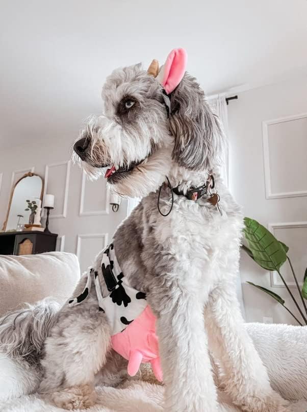 Midlee Cow Headband & Udder Dog Halloween Costume - Image 3