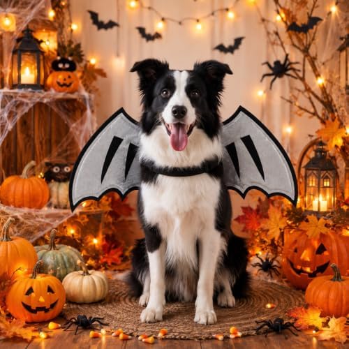 Dog Dragon Wings, Halloween Dragon Costume for Dog Cat, Silver, L - Image 5