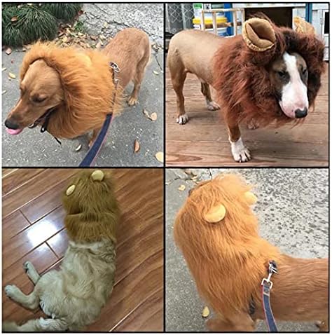 Halloween Dog Costume, Lion Mane Wig (with Ears, Color: Black, Size: Large) - Image 6