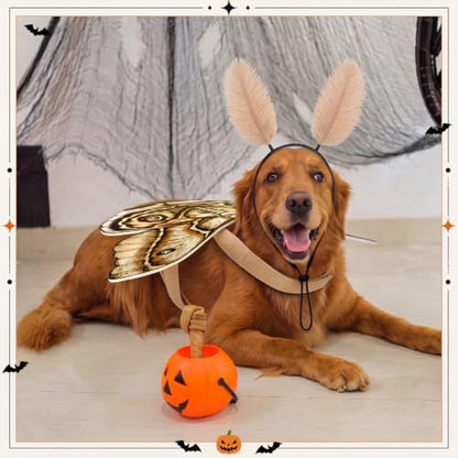 Tallew 2 Pcs Dog Halloween Costumes Moth Butterfly Wings,M,Grayish White - Image 4