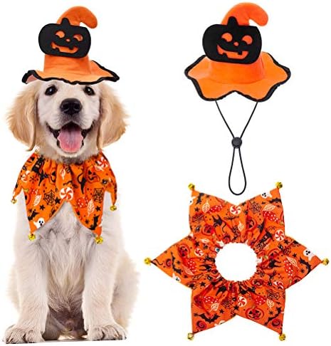EXPAWLORER Dog Halloween Costumes,Dog Collar and Wizard's Pumpkin Hat Set by EXPAWLORER