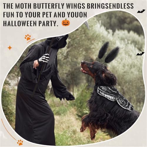 Tallew 2 Pcs Dog Halloween Costumes Moth Butterfly Wings,M,Black,White - Image 5