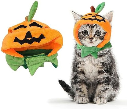 ALIBBON Cat & Dog Halloween Costume - Pumpkin Headdress & Cap Set for Puppy & Kitty Cosplay by ALIBBON