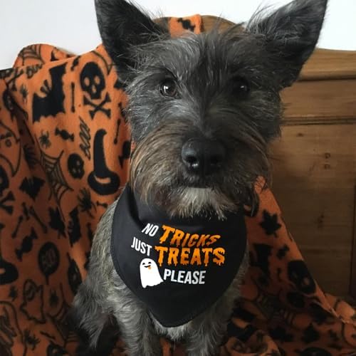Halloween Dog Bandanas with No Tricks Just Treats Sign, 7-30lbs Pet - Image 4