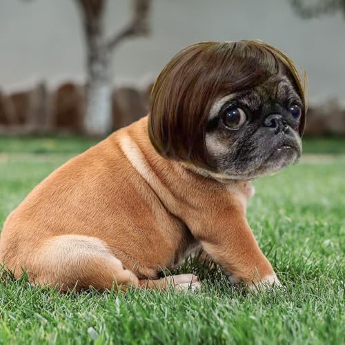 Funny Dog Cat Cosplay Wig,Pet Wigs for Halloween, Christmas, Parties, Festivals, Dog Wigs for Small Medium and Large Dogs （Black Brown Straight） - Image 6