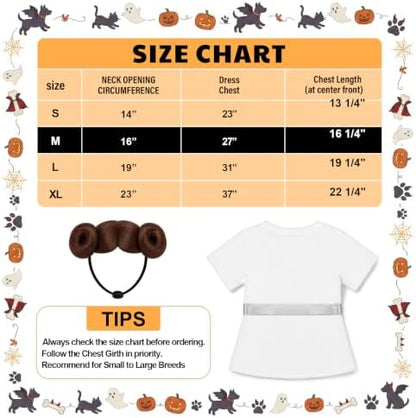 Dansydaisy 2 Pcs Halloween Pet Costume, Princess Outfit, Medium - Image 2