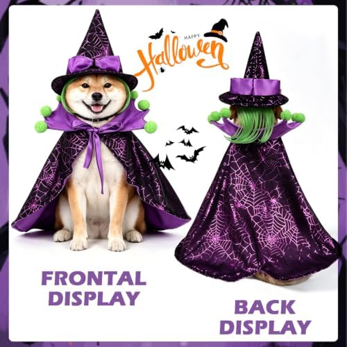 EXPAWLORER Halloween Witch Costume for Cat & Small Medium Dog - Image 5