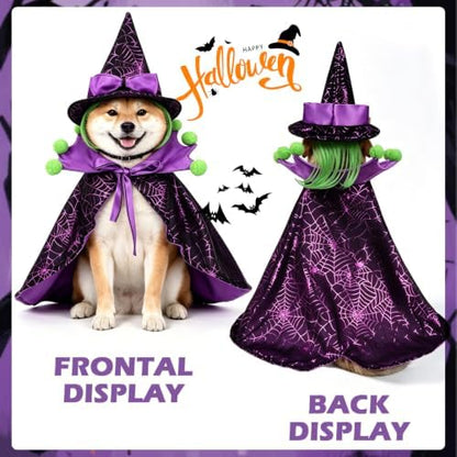 EXPAWLORER Halloween Witch Costume for Cat & Small Medium Dog - Image 5