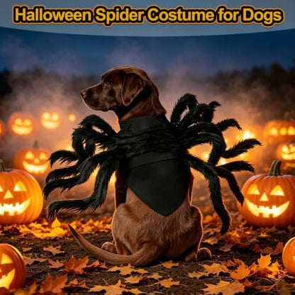 Halloween Spider Costume for Dog, Halloween Pet Costume Halloween Decorations, Spider Decor Halloween Party Supply, Spider Cosplay Costumes with Adjustable Velcro for Small Medium Dogs and Cats - Image 7