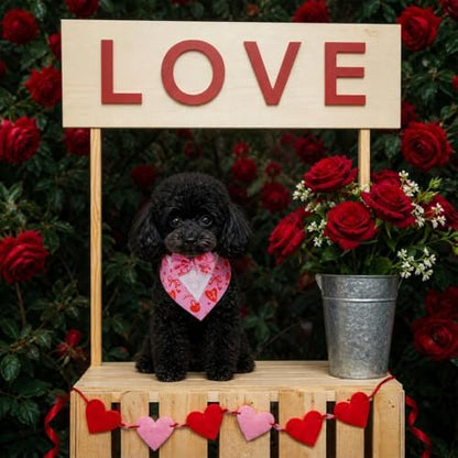 FUAMEY Dog Tuxedo for Medium Dog Valentines Bandana with Bowtie Wedding Tux - Image 5