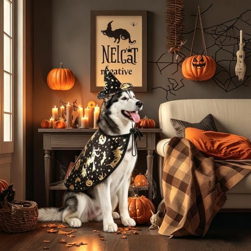 Dog Witch Costume, Large Dog Halloween Costumes - Image 5
