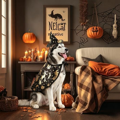 Dog Witch Costume, Large Dog Halloween Costumes - Image 5