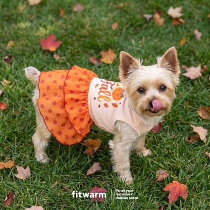 Fitwarm I Love Fall Dog Dress, Thanksgiving Outfit for Small Dogs Girl, Cute Pet Clothes, Orange, Beige, XS - Image 4