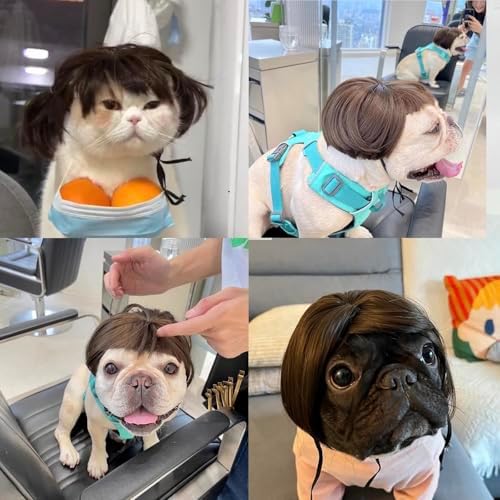 Funny Dog Costume Dog Bob Wig for Cat Doggie Wig - Image 5