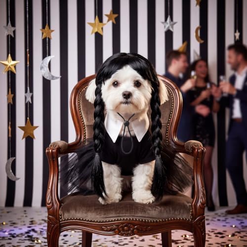 Dansydaisy 3 Pcs Black Halloween Dog Costume Set with Twin Ponytail Wig - Image 2