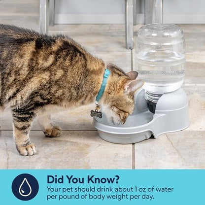 Aspen Pet Lebistro Cat and Dog Water Dispenser, Made in USA
