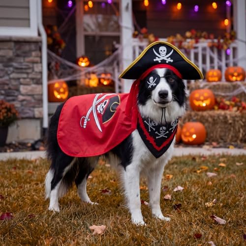 Huhumy 4 Pcs Dog Pirate Costume Hat Cape Bandana, Red, Large - Image 5