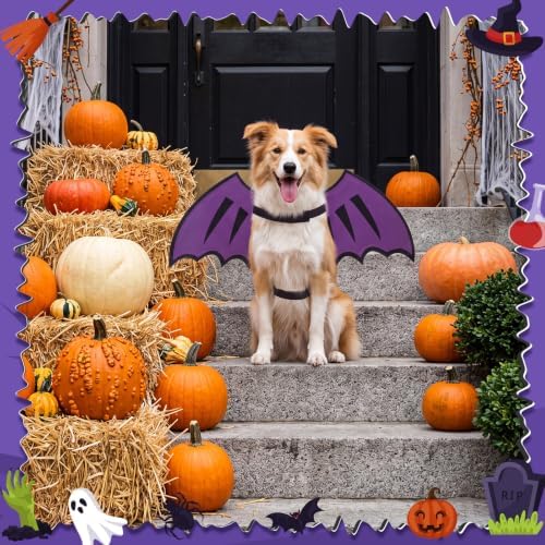 Dog Dragon Wings, Halloween Dragon Costume for Dog Cat, Purple, L - Image 6