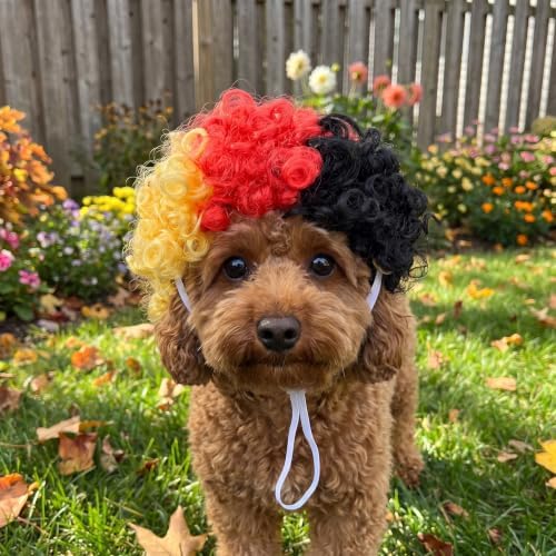 1pcs Funny Pets Wigs for Dog, Funny Curly Dog Wig Dog Wig Costume - Image 6