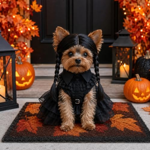 3 Pcs Halloween Dog Dress Costume with Belt Wig, Black Cute Pet Costume (M) - Image 6
