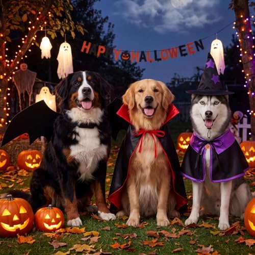 3 Sets Halloween Cat Dog Costume Vampire Cloak Witch Outfit Bat Wing, Large - Image 4