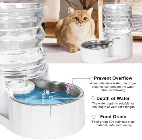 RIZZARI 5L Gravity Cat Water Dispenser: Filtered for Small Pets