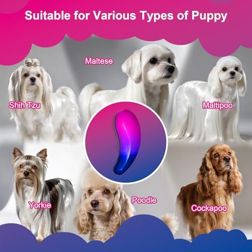 Small Dog Brush, Skin-friendly Soft Bristles (Gradient Color) - Image 6