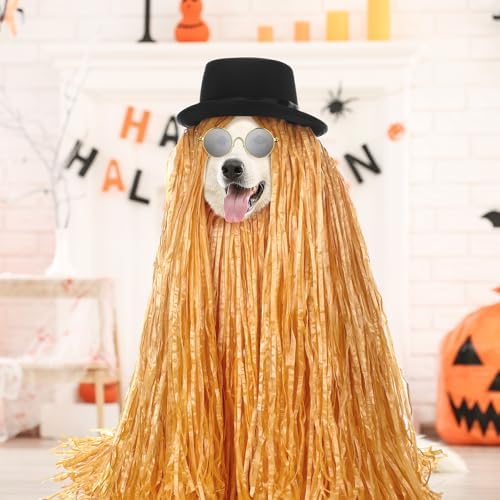 Dansydaisy 4 Pcs Pet Halloween Black Bowler Derby Hat Costume - Image 3