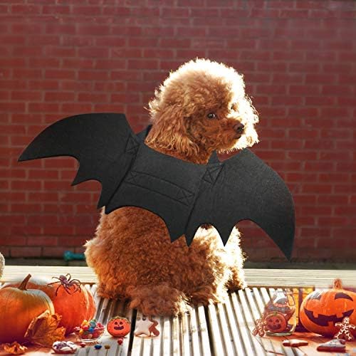 Rypet Cat Bat Costume XS, Cat Bat Wings, Dog Bat Costume Halloween Cosplay - Image 7
