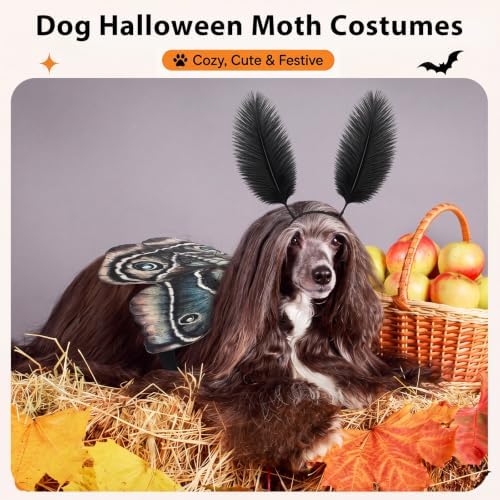 Tallew 2 Pcs Dog Halloween Costumes Moth Butterfly Wings,M,Tan - Image 4